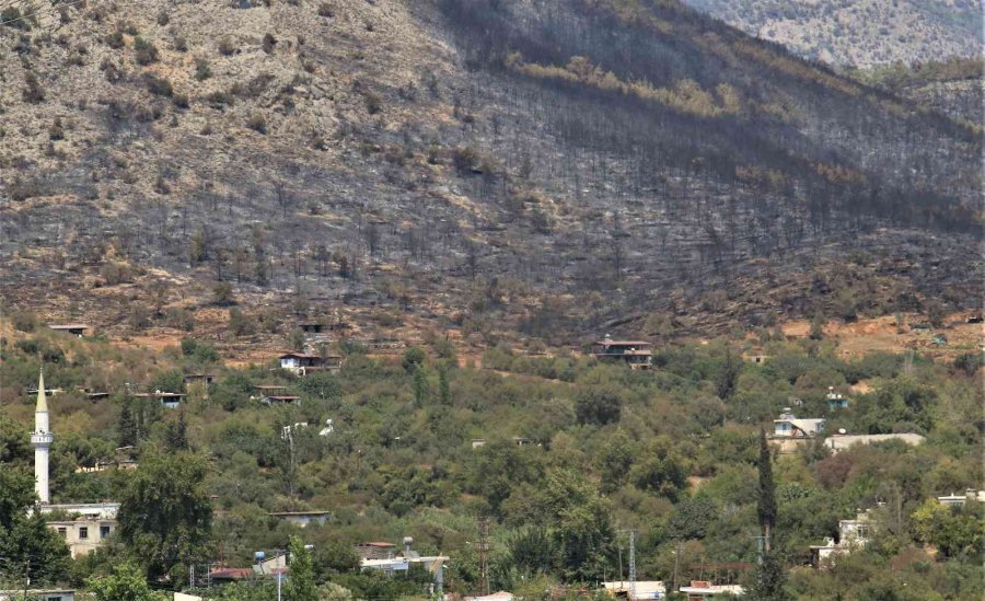 Mersin’deki Orman Yangını, Küle Dönen Bölge Havadan Görüntülendi