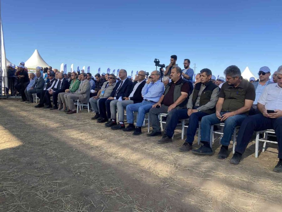 Yerli Ayçiçeği Tohumu Geliştirme Ve Çiftçi Destekleme Projesi Konya’da Devam Ediyor