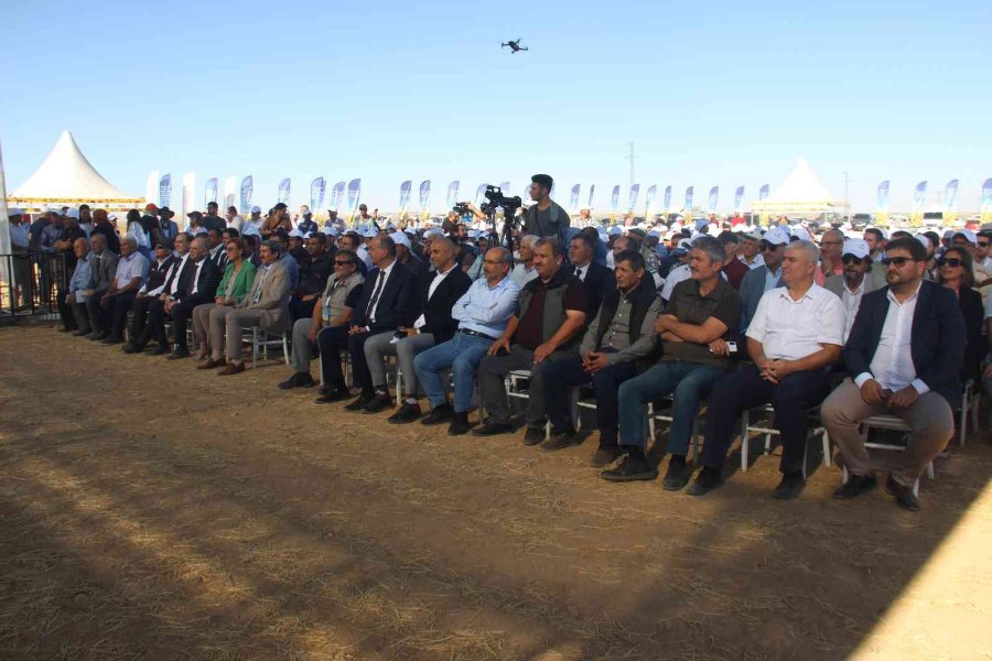 Yerli Ayçiçeği Tohumu Geliştirme Ve Çiftçi Destekleme Projesi Konya’da Devam Ediyor