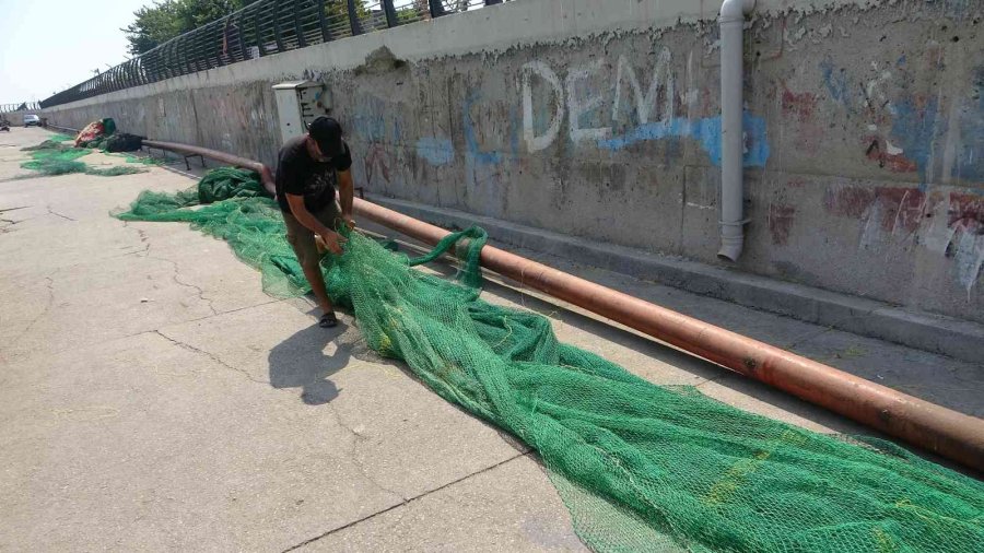 Akdenizli Balıkçılar Yeni Sezondan Umutlu