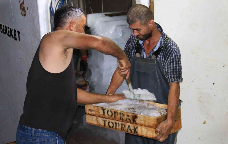 Akdeniz’den Balıkçılar 24 Saat Sonra İlk Avlarla Döndü