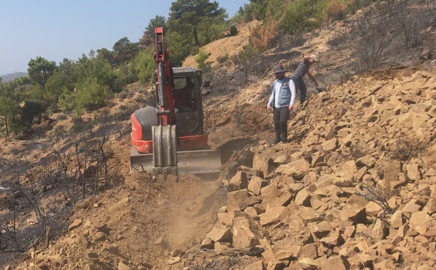 Prof. Dr. Yıldız Dikkat Çekti: “yanan Ormanlardaki En Büyük Tehlike Besin Kaybı”