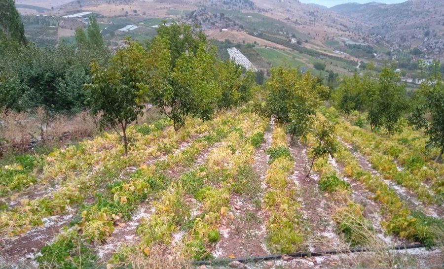 Mersin’de Yüksek Kesimlerde Dolu Etkili Oldu