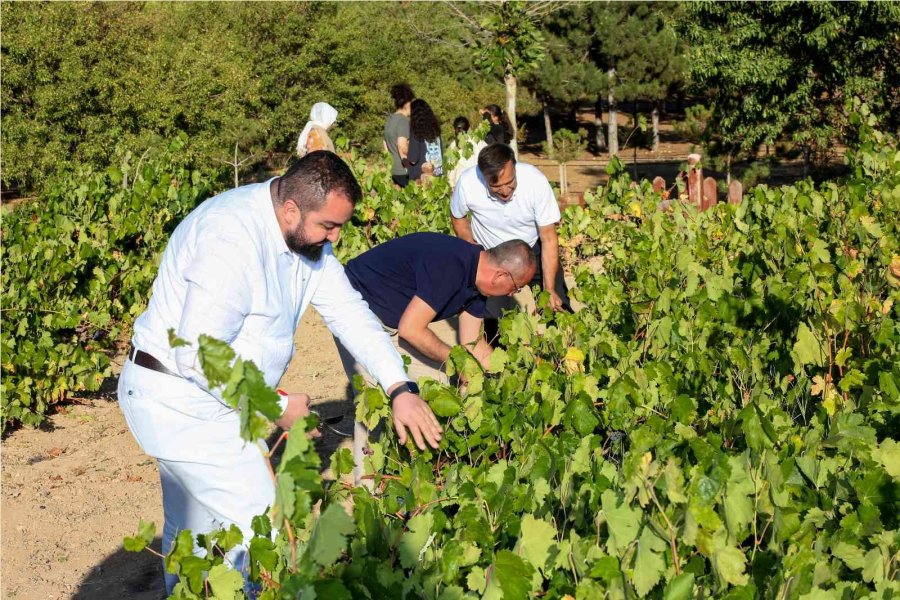 Konya’da Yeni Rota Meram Bağları