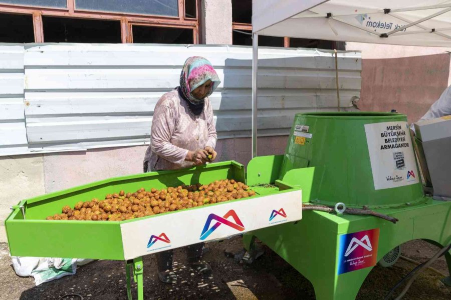 Ceviz Soyma Makinesi Üreticinin Yüzünü Güldürüyor