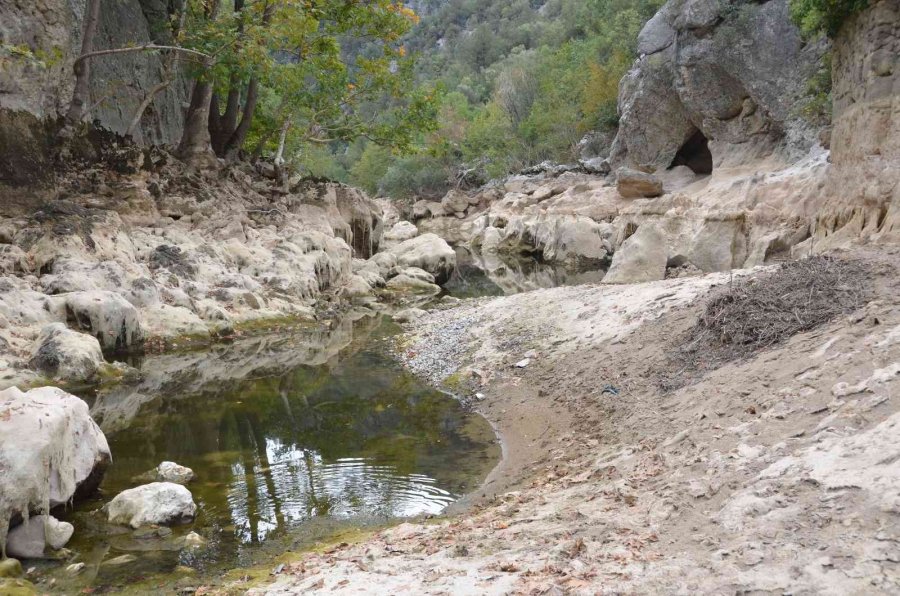 Antalya’da Üzümdere Irmağı Kurudu, Yavru Alabalıklar Telef Oldu