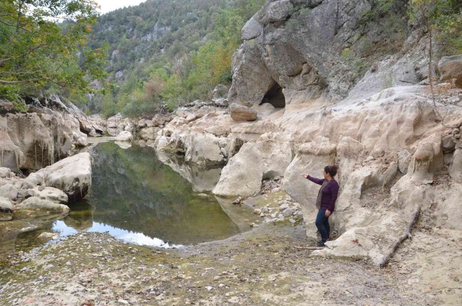 Antalya’da Üzümdere Irmağı Kurudu, Yavru Alabalıklar Telef Oldu