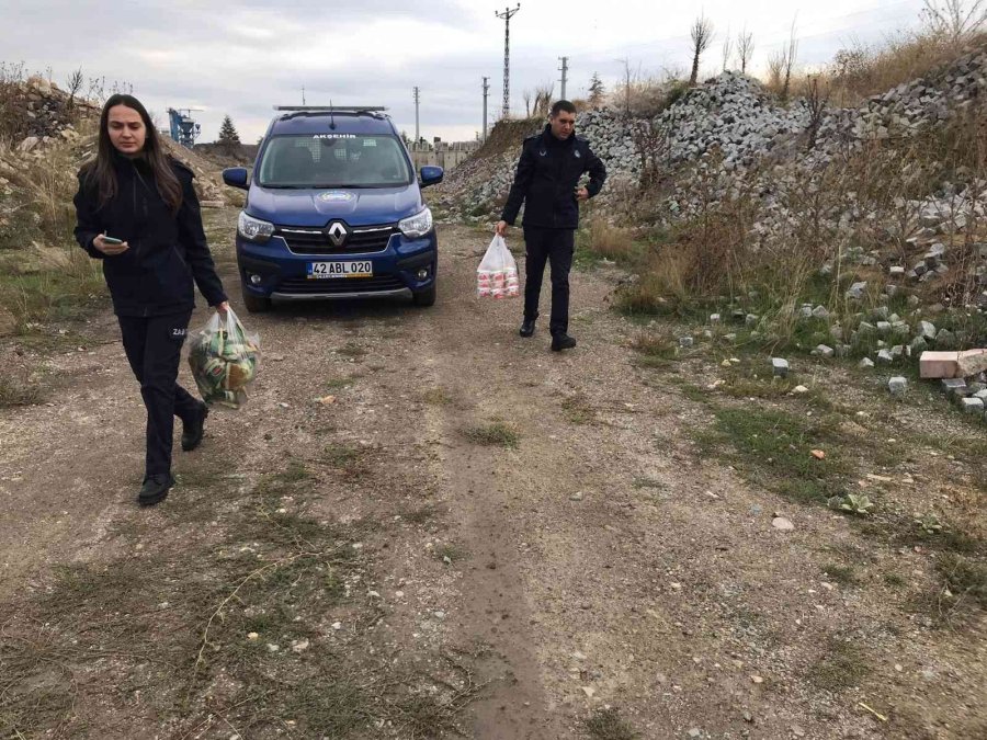 Akşehir’de Zabıta Denetimleri Sürüyor