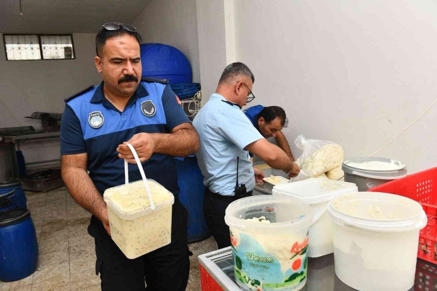 Mersin’de Kaçak Ve Sağlıksız Peynir İmalathanesi Mühürlendi