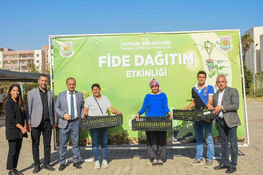 Tarsus’ta Üreticilere Ücretsiz 750 Bin Adet Fide Dağıtıldı