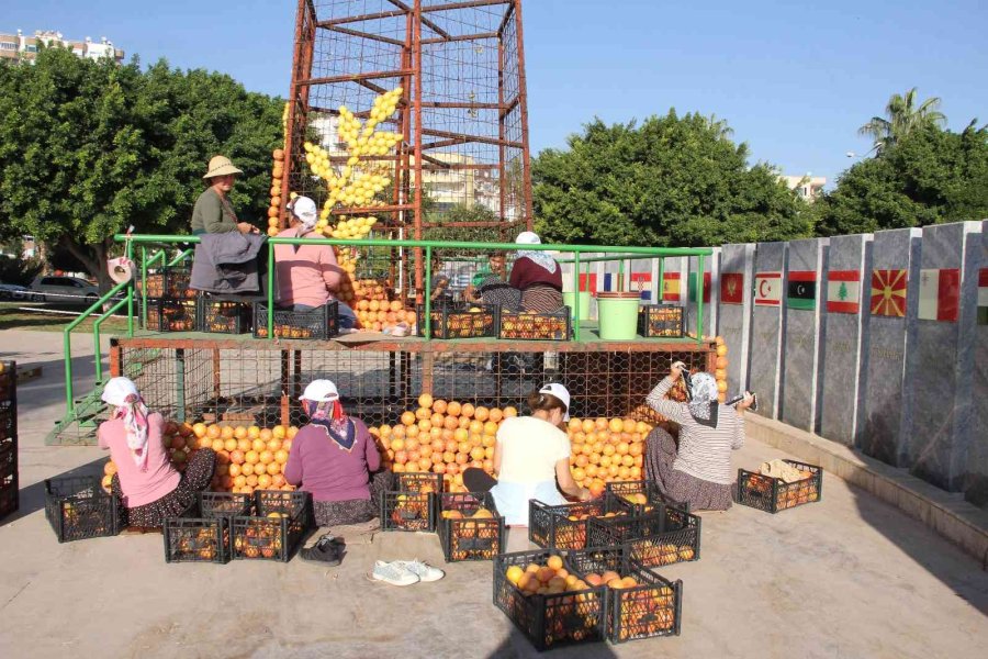 Mersin, Narenciye Festivali’ne Hazırlanıyor