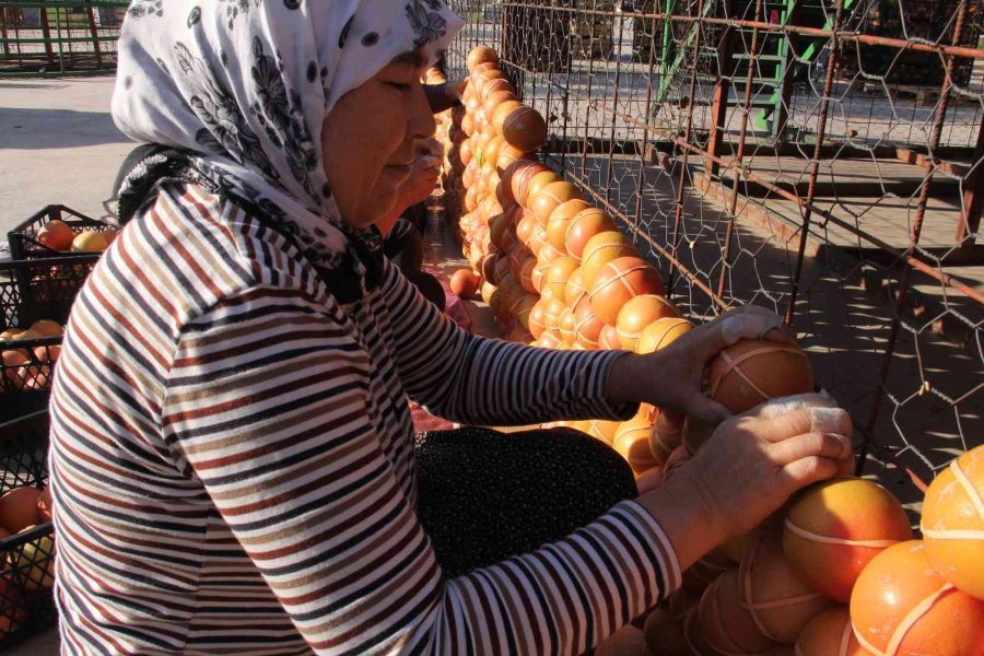 Mersin, Narenciye Festivali’ne Hazırlanıyor