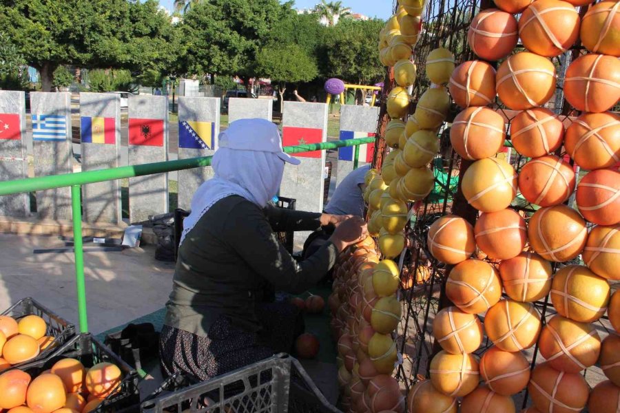 Mersin, Narenciye Festivali’ne Hazırlanıyor