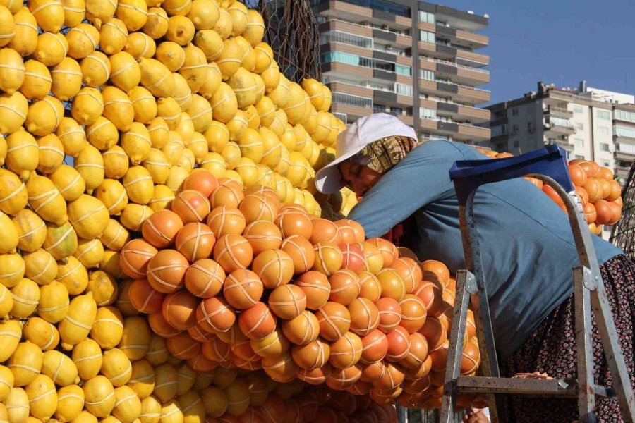 Mersin, Narenciye Festivali’ne Hazırlanıyor