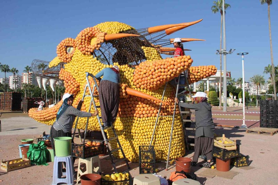 Mersin, Narenciye Festivali’ne Hazırlanıyor