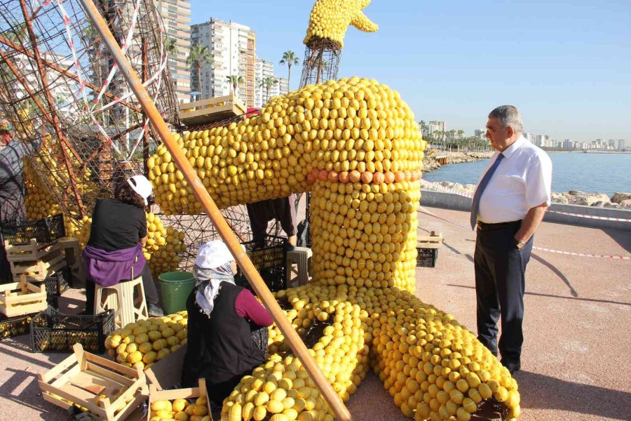 Mersin, Narenciye Festivali’ne Hazırlanıyor