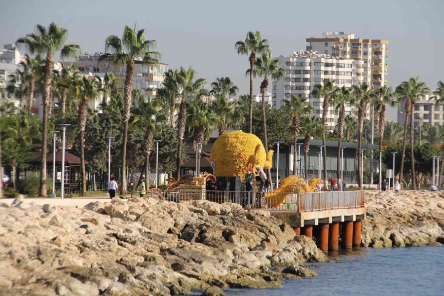 Mersin, Narenciye Festivali’ne Hazırlanıyor