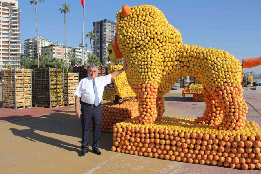 Mersin, Narenciye Festivali’ne Hazırlanıyor