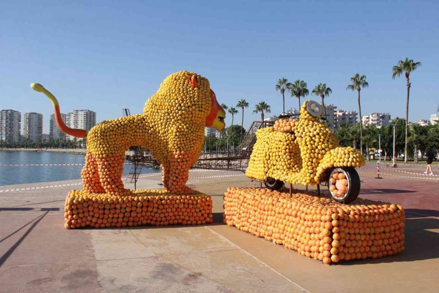 Mersin, Narenciye Festivali’ne Hazırlanıyor