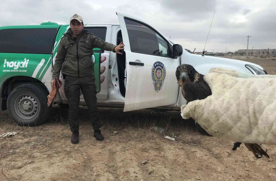 Polislerin Arazide Ayakları Bağlı Bulduğu Doğan Tedaviye Alındı