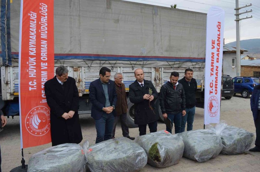 Hüyük’te Üreticilere 170 Bin Adet Lavanda Fidesi Dağıtıldı