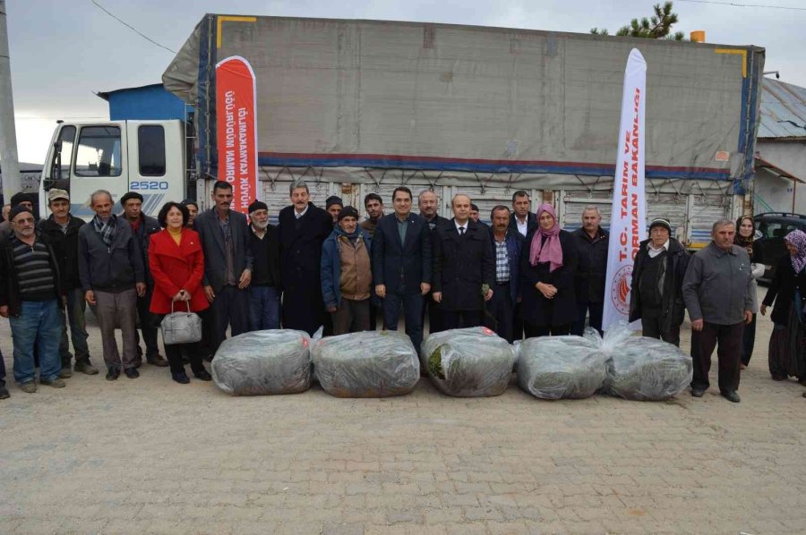 Hüyük’te Üreticilere 170 Bin Adet Lavanda Fidesi Dağıtıldı