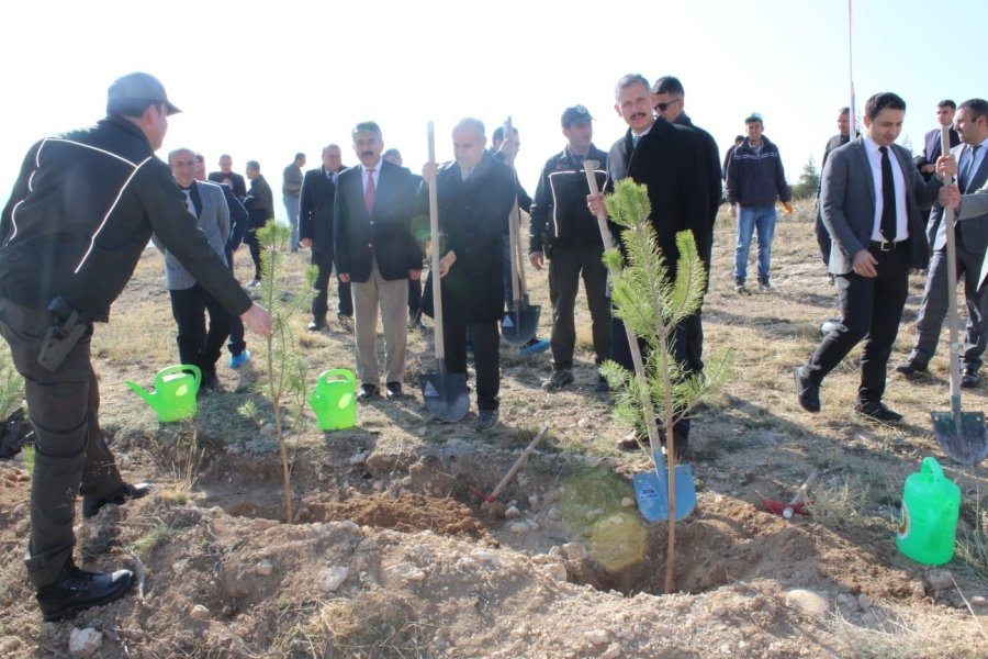 Konya Cumhuriyet Başsavcılığı’ndan Fidan Dikimi