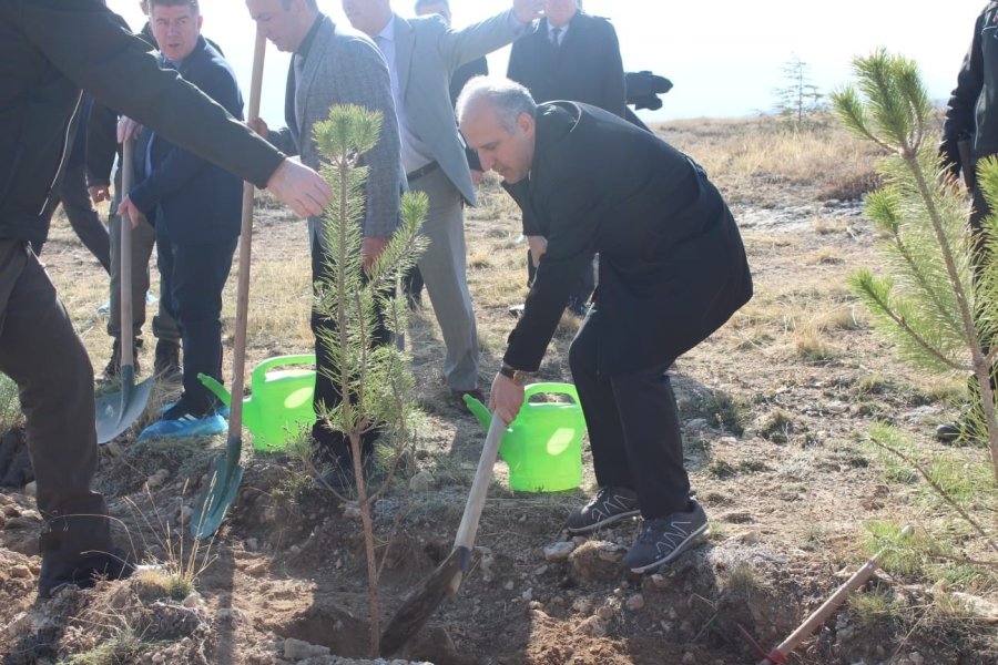 Konya Cumhuriyet Başsavcılığı’ndan Fidan Dikimi