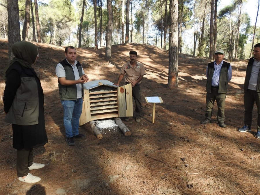 Mersin’de Aday Orman Muhafaza Memurlarına Eğitim Verildi