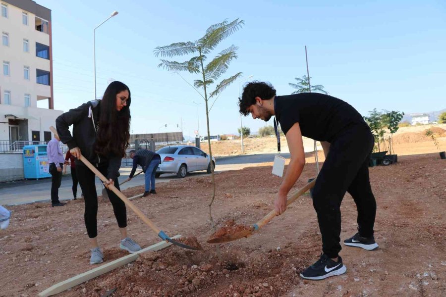 Toros Üniversitesi Öğrencileri Fidanları Toprakla Buluşturdu