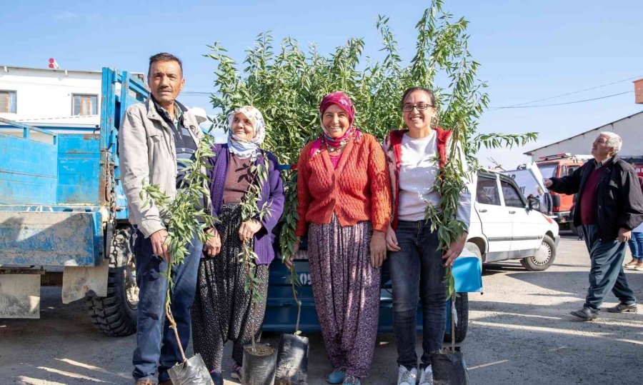 Mersin Büyükşehir Belediyesinden Üreticiye Fidan Desteği Sürüyor