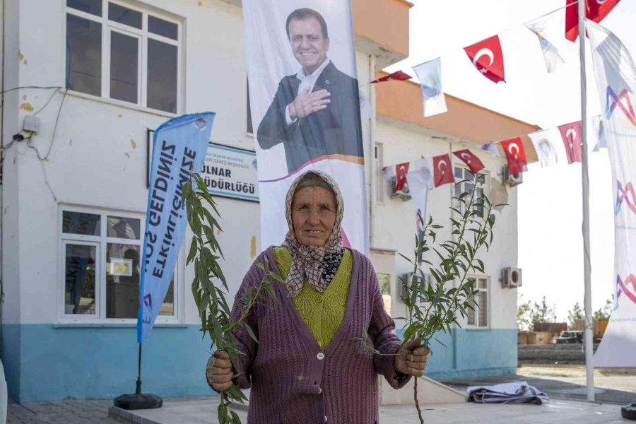 Mersin Büyükşehir Belediyesinden Üreticiye Fidan Desteği Sürüyor