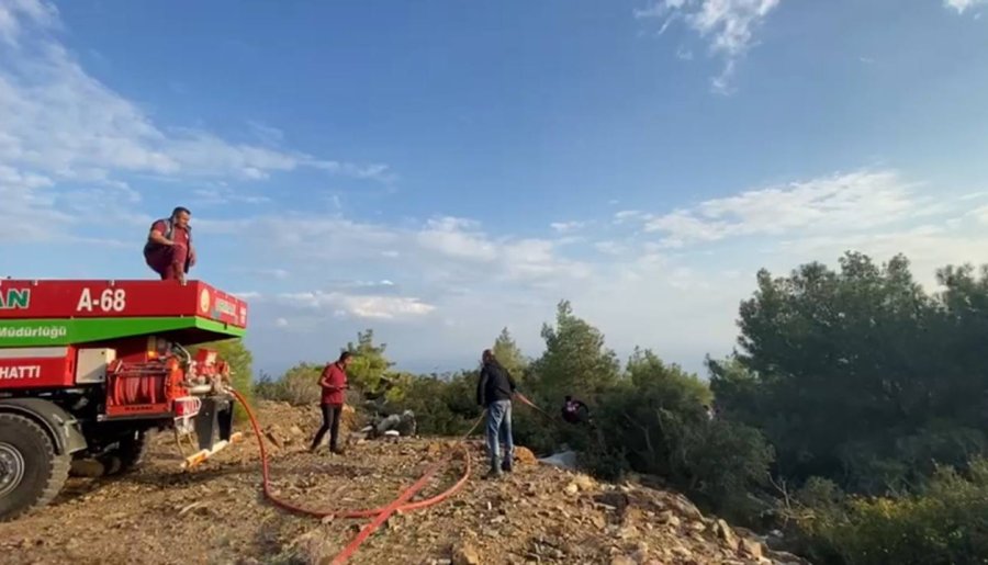 Mersin’de Yıldırım Düşen Ormanlık Alanda Yangın Çıktı