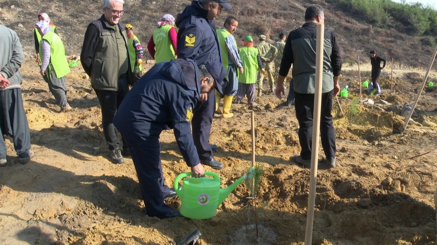 Yangında Zarar Gören 4 Hektarda Bin 600 Fidan Toprakla Buluştu