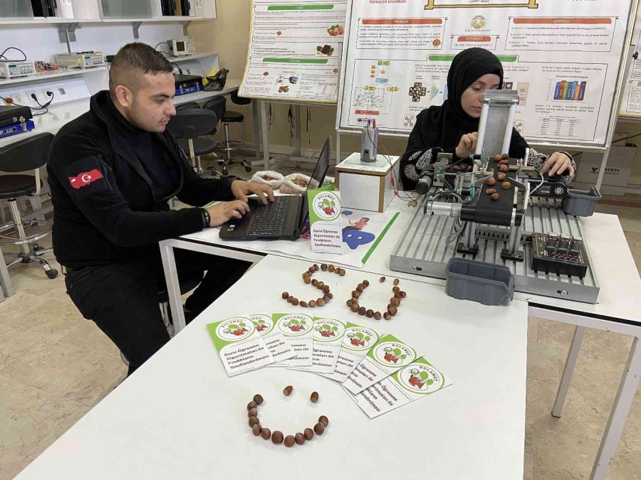 Yapay Zeka Teknolojisiyle Fındık Türlerinin Sınıflandırılması Sağlanacak