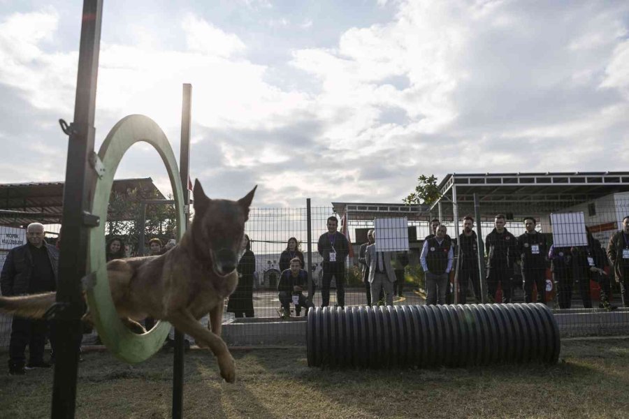 Mersin’de ’köpekli Arama Kurtarma Çalıştayı’ Sona Erdi