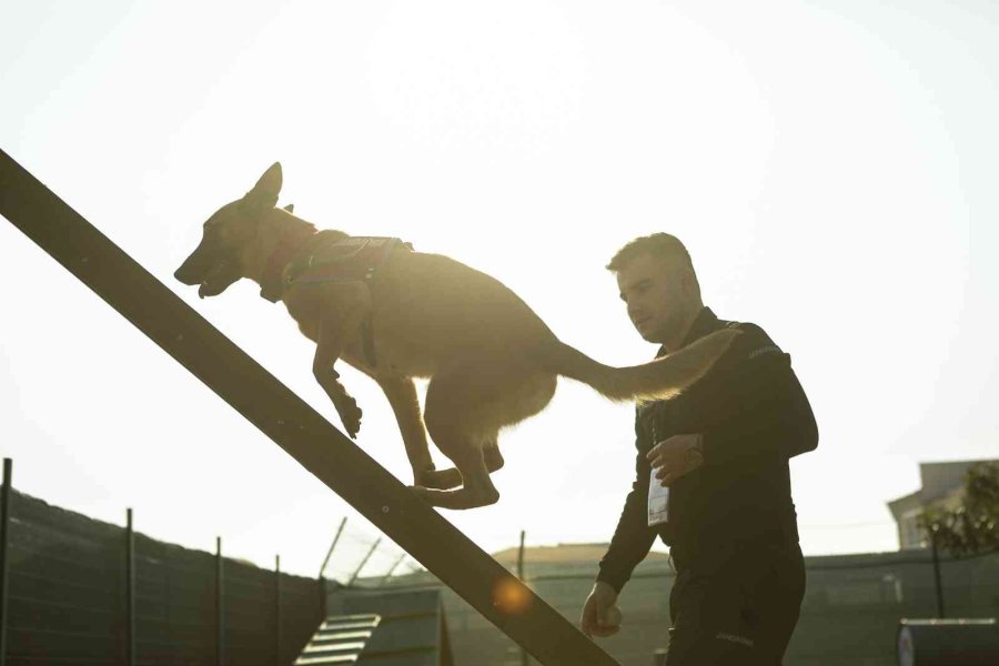 Mersin’de ’köpekli Arama Kurtarma Çalıştayı’ Sona Erdi