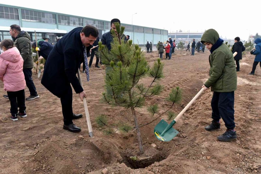 Karatay Belediyesinden Ağaç Dikme Etkinliği