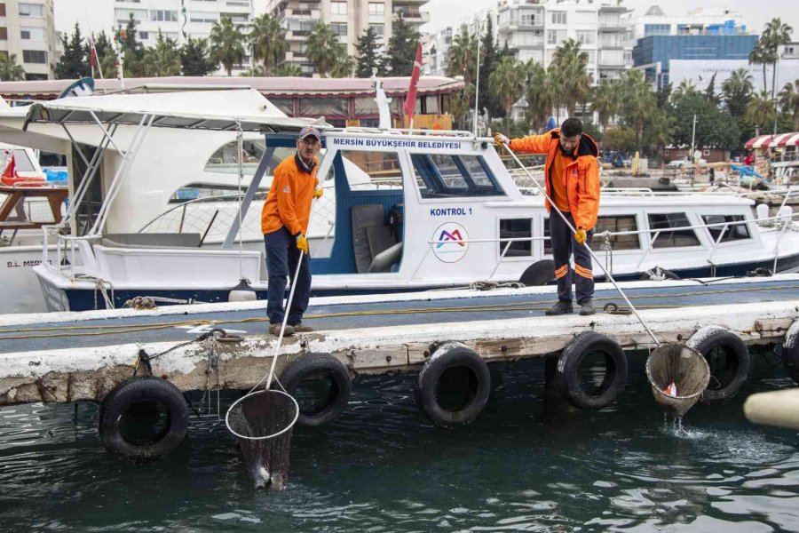 Mersin’de Denizden 1 Yılda 289 Metreküp Atık Toplandı