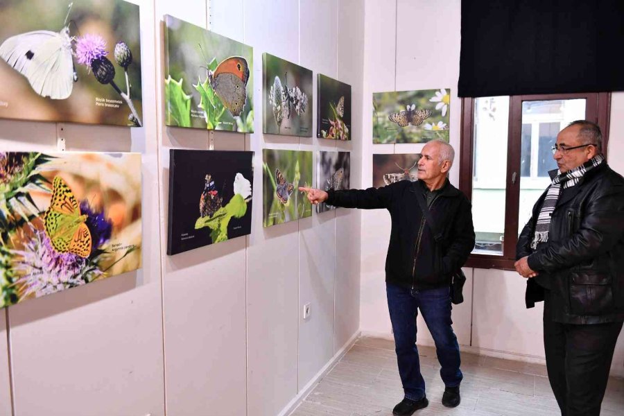 Bülent Akbaş’ın ’mersin Kelebekleri’ Fotoğraf Sergisi Açıldı