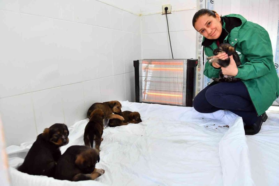 Mersin’de Bin 100 Patili Dosta Sıcak Yuva Sağlandı