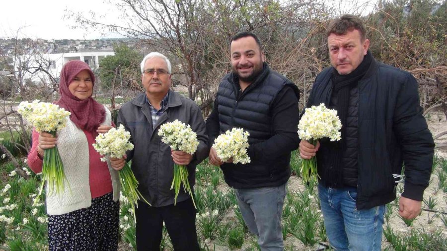 Kışta Baharı Yaşatan Nergis Çiçekleri 150 Liradan 50 Liraya Düştü