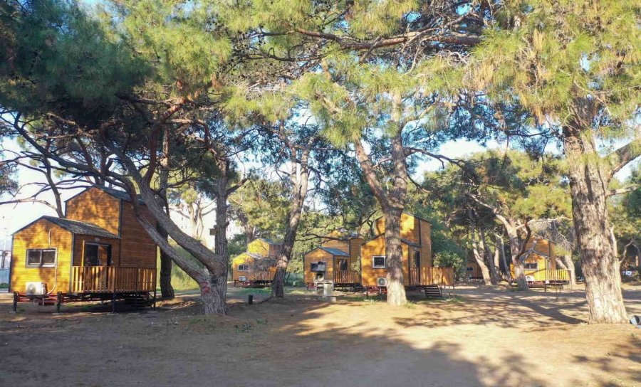 Turizm Sezonuna Hazır: Tatilin Yeni Gözdesi Bungalov Ve Glampingler