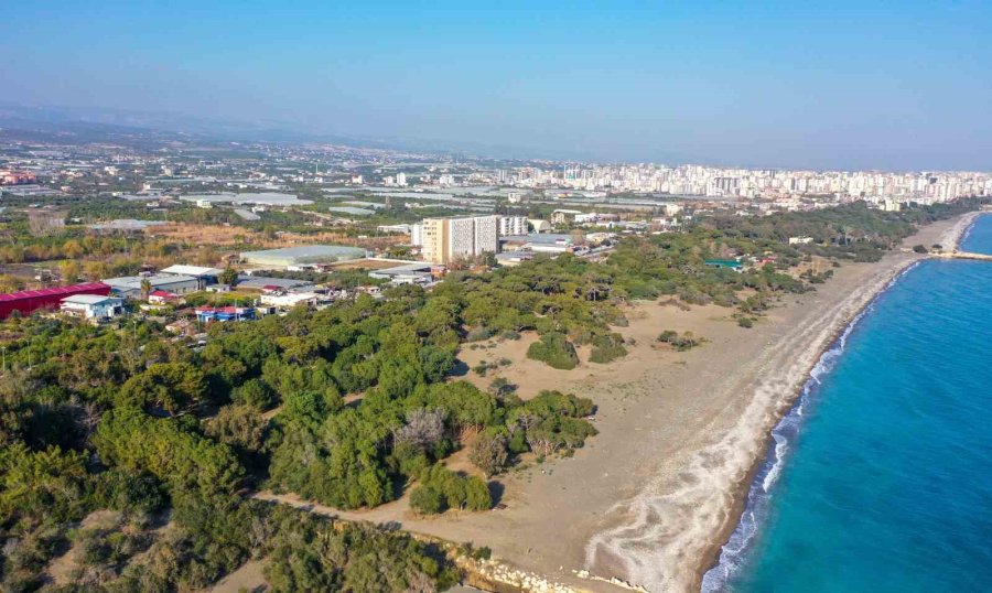 Turizm Sezonuna Hazır: Tatilin Yeni Gözdesi Bungalov Ve Glampingler