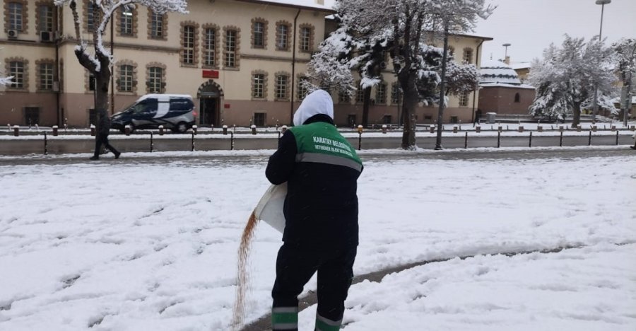 Karatay Belediyesi Sokak Hayvanlarını Unutmadı