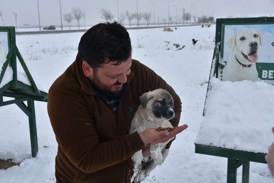 Karatay Belediyesi Sokak Hayvanlarını Unutmadı