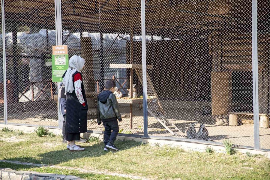 Yarıyıl Tatilinde Tarsus Doğa Parkı’na Yoğun İlgi