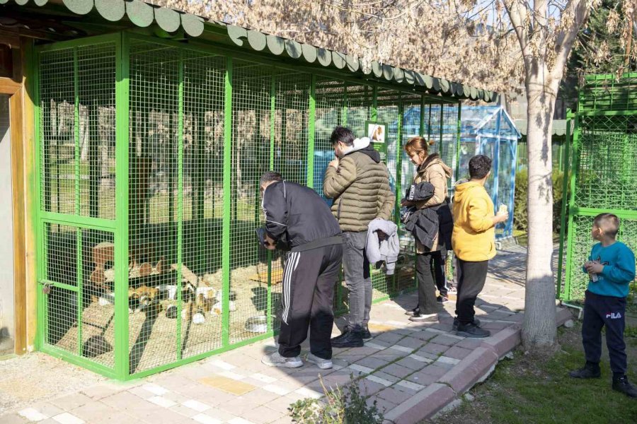 Yarıyıl Tatilinde Tarsus Doğa Parkı’na Yoğun İlgi