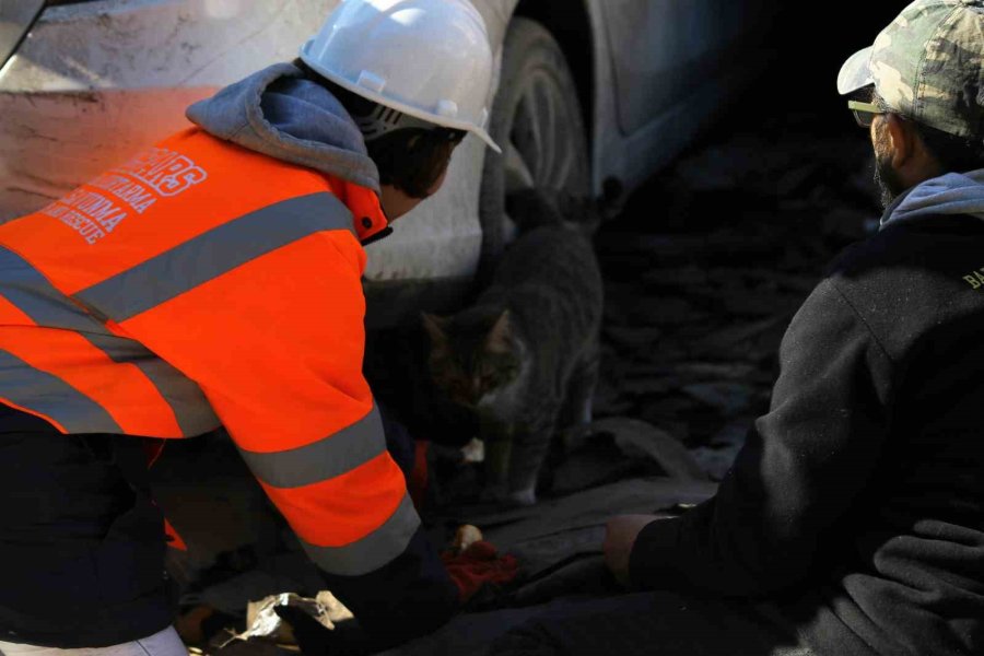 Hatay’da Bu Zor Günlerde Yürek Isıtan Kareler Objektiflere Yansıdı