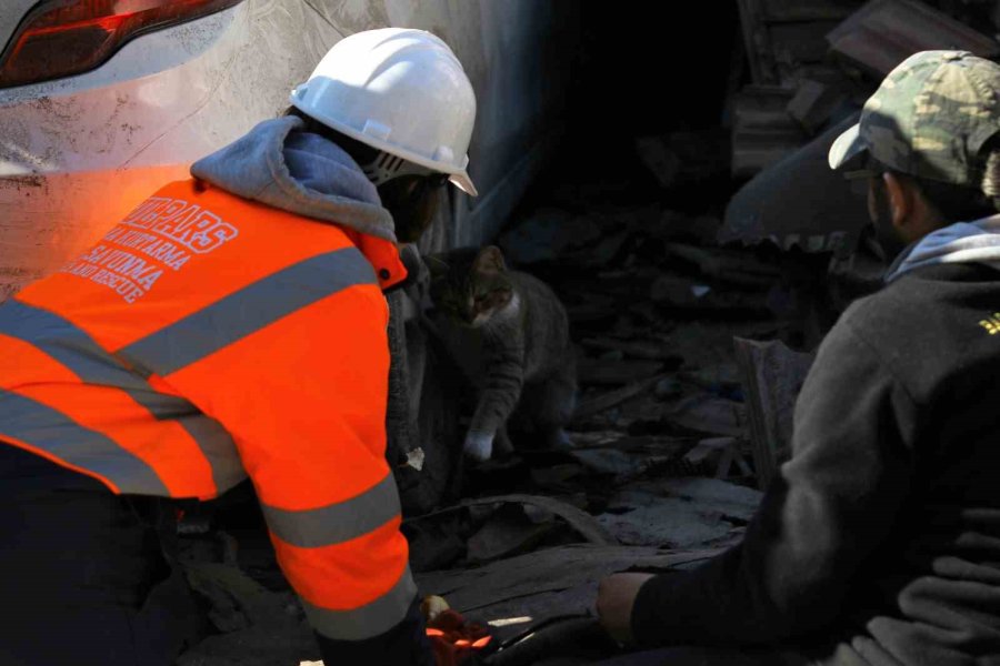 Hatay’da Bu Zor Günlerde Yürek Isıtan Kareler Objektiflere Yansıdı